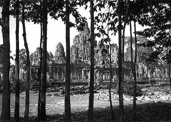 bayon_mjavins