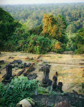 jungle_view_shianghaigirl