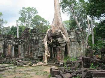 ta_phrom_temple_where_natur