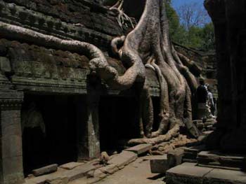 taprohm_by_nyc_camy