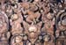 banteay