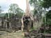 ta_phrom_temple_where_natur