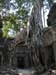 ta_prohm_by_nyc_camy_