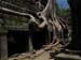 taprohm_by_nyc_camy