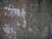 the_leper_king