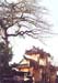 vietnam_hoian1