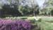 view_sisaket_suansomdej_park