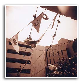 5a