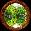 tree.gif (168088 bytes)