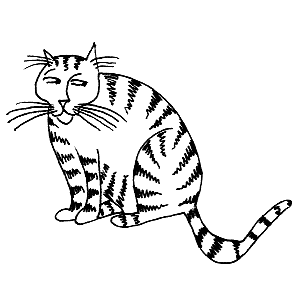 Scruffy Cat