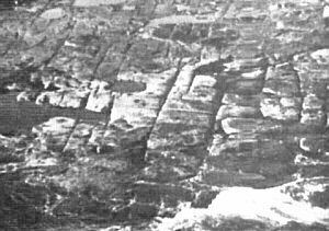 El Muro atlante en Australia. En Randi (1994).