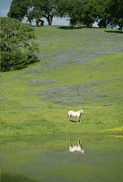 The outer world is a reflection of our inner nature...