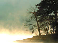 The Dawn is Now...