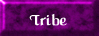 Finding your Tribe.