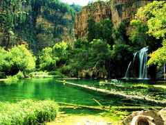 Paradise lost? No way!