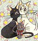 Le, Meow! Le, Meow! Le, Purr! Le, Purr!
