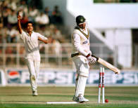 Cricket Match