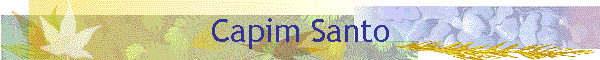 Capim Santo