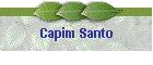 Capim Santo