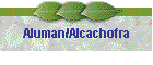 Aluman/Alcachofra