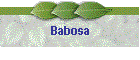 Babosa
