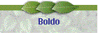 Boldo