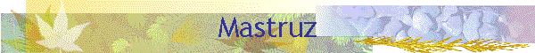 Mastruz