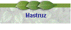 Mastruz