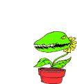 flytrap.gif (8355 bytes)