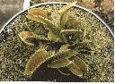 img4.gif (8969 bytes)