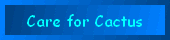 Care for Cactus