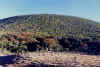mt__gede.jpg (34588 bytes)