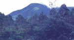 lawu.jpg (37689 bytes)