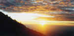 sun1.jpg (60645 bytes)