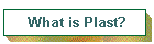 What is Plast?