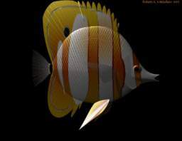 TN_BFISH1.JPG