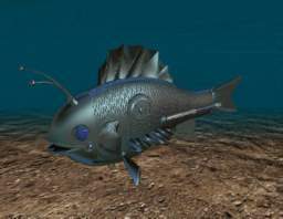 TN_FISH.JPG