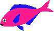 TN_FISH8.JPG