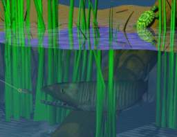 TN_FISHING.JPG