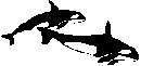 TN_WHALES1.JPG