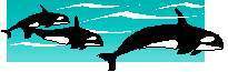 TN_WHALES2.JPG