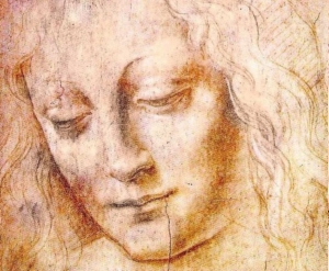 young Leonardo Da Vinci