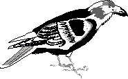 de Kreih - the craw