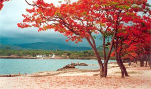 Playa la Boca - Trinidad, Cuba