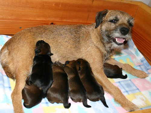 Happy Momma!