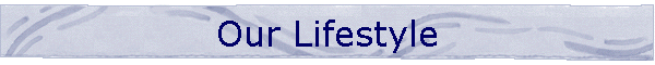 Our Lifestyle