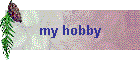 my hobby