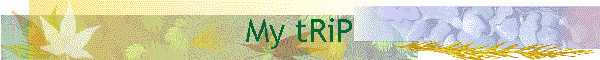My tRiP