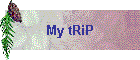 My tRiP