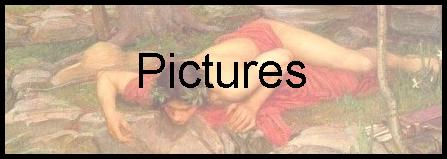 Pictures